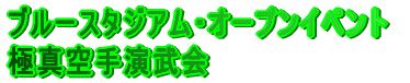 u[X^WAEI[vCxg ɐ^艉